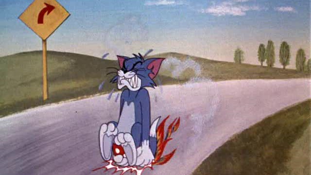 Tom 116