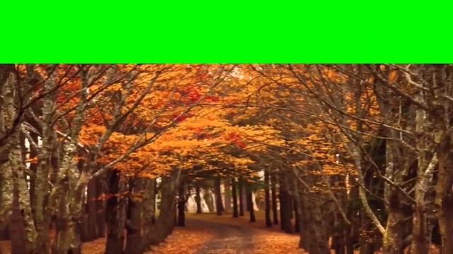 2 Green Screen set of autumn footages - Хромакей набор осенние футажи