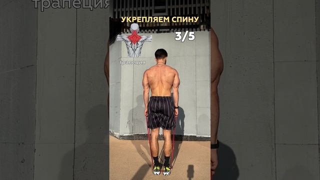 Укрепить спину в дома 