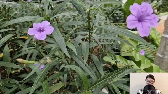 Случайно услышав разговор мужа его любовницей, жена застыла на месте от шока. И решив проучить...