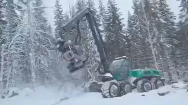 Харвестер. Вырубка леса. Лесозаготовка. Валка леса.