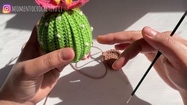 Cactus Amigurumi PARTE II
