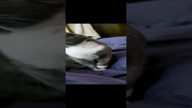 20220507_073005.mp4
