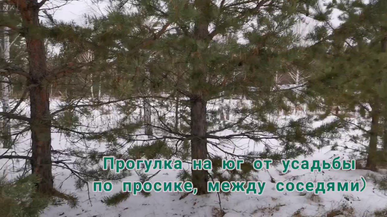 Усадьба творческой мастерской 