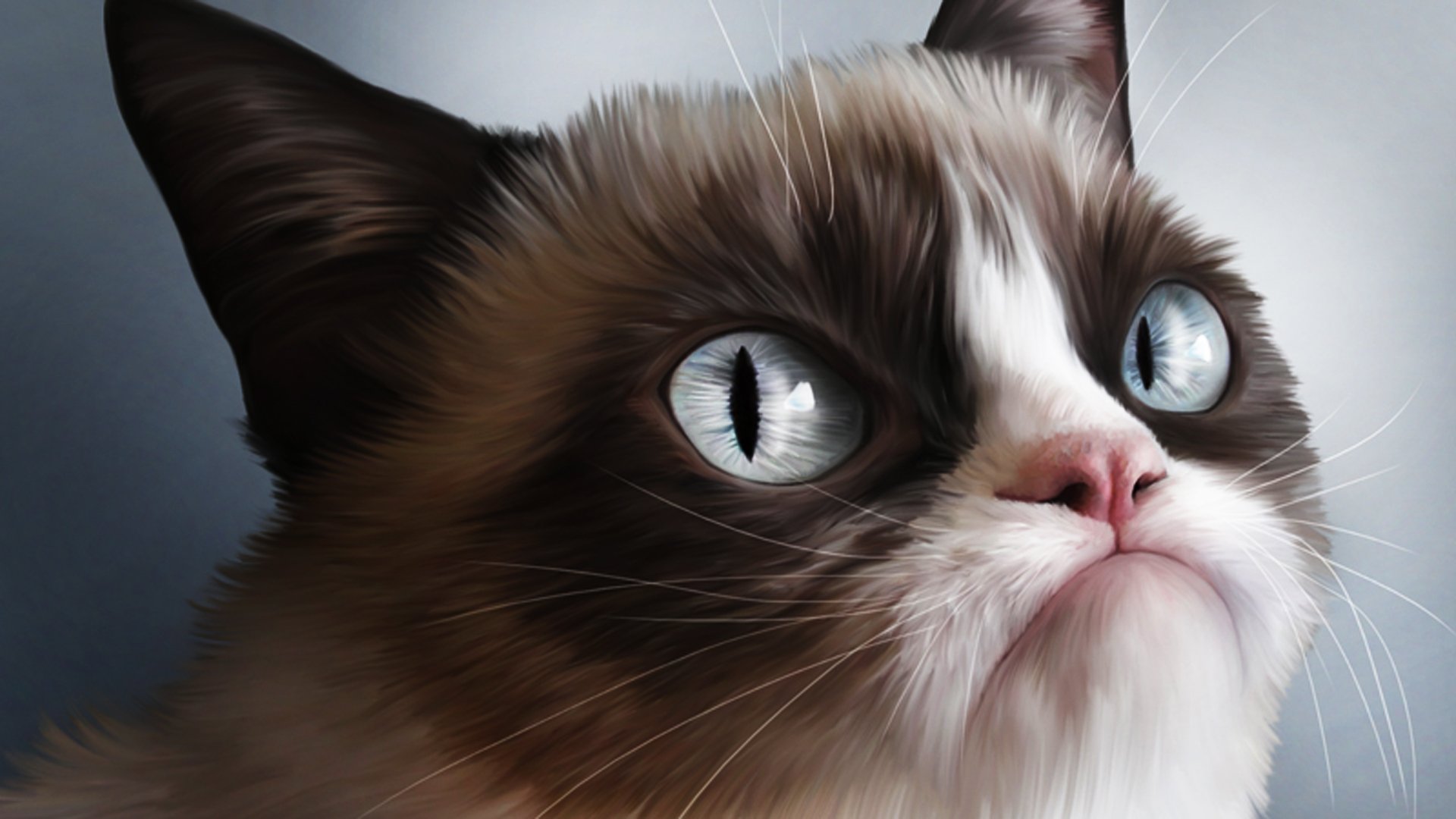 ✅ Смешные кошки 2022 ? Я ржал полчаса ? Самые смешные и милые животные! Funny Best Cats №6 ✅
