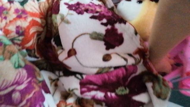 VID_20240812_172620.mp4