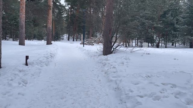 Прогулка по парку «Моховые Горы» г. Бор, Нижегородская область .