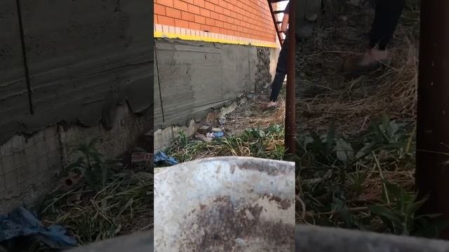 накидываем штукатурку для имитации камня?