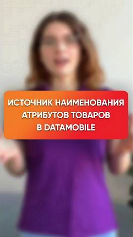 Источник наименования атрибутов товаров в DataMobile