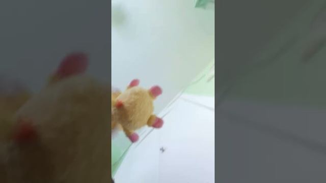 Что же засняла скрытая камера? (СБОРНИК)