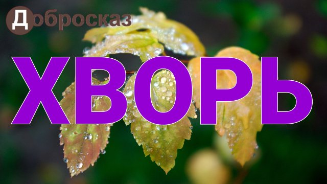 Хворь плейлист Добросказ