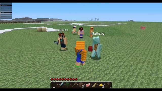 Minecraft - New Skins!