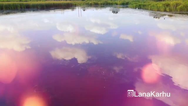 НейроВсплеск. Открываем Сердце