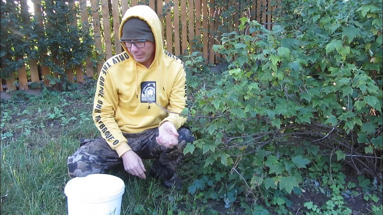 Весьма результативный день. Выполнил все планы. Удачный вечерний выезд в поля.