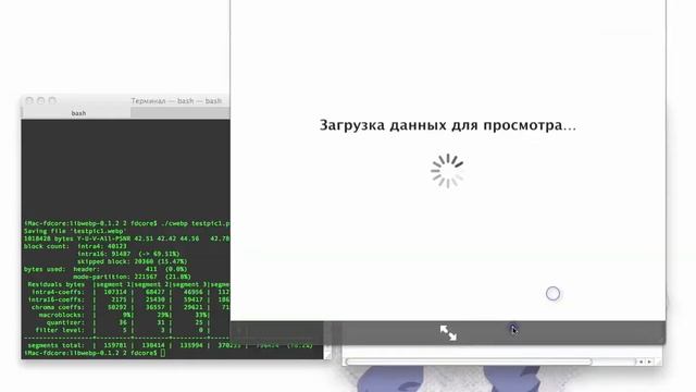 Test WebP on Mac OS