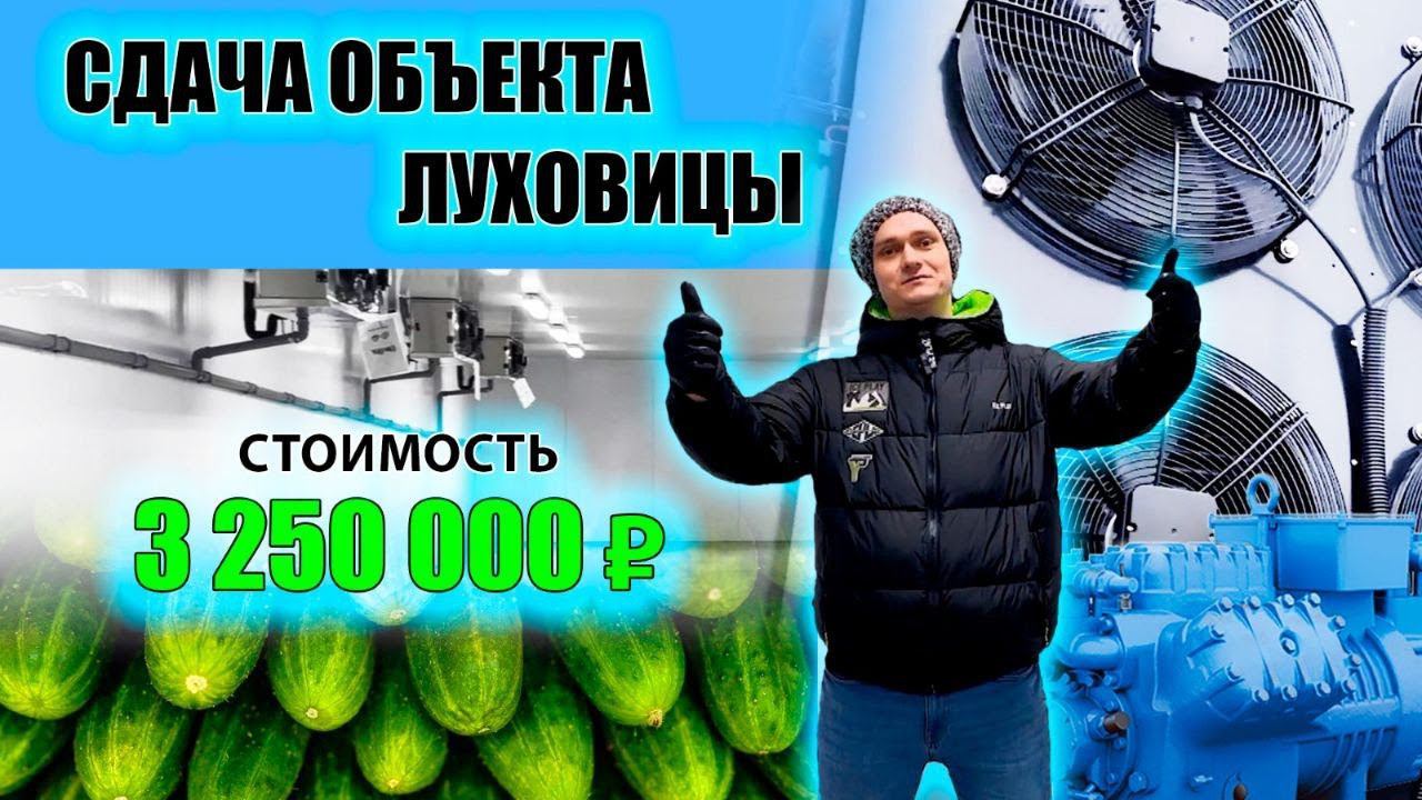 Камера для хранения томатов и огурцов