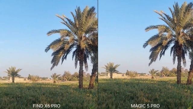 Oppo Find X6 Pro vs Honor Magic 5 Pro Camera Comparison!