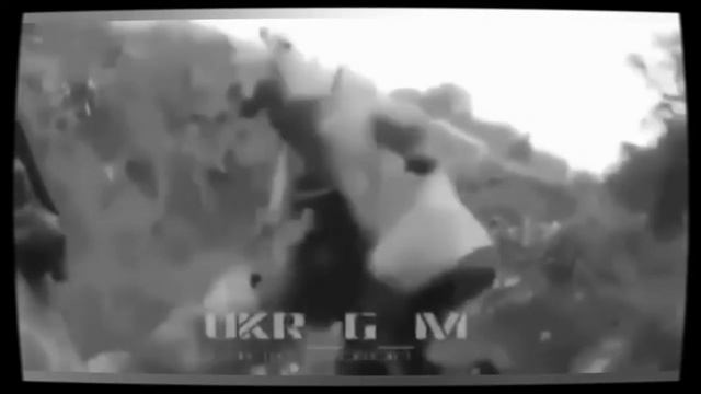 Наёмники: поначалу им было весело на позже как-то стало не очень.