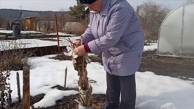 Весенние работы.
