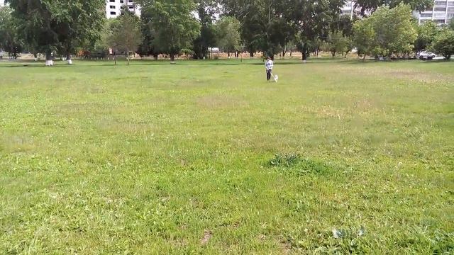 Хася (5 часть)