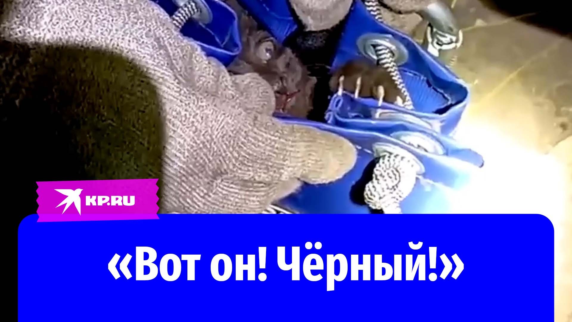 Спасатели достали кота со дна вентиляционной шахты в Нижегородской области