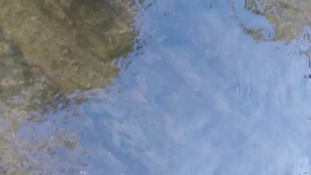 История старой мельницы в Лососно