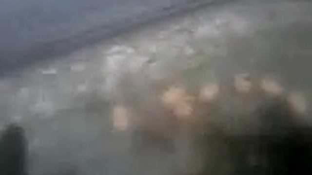 черепаха отлаживает яйца в ванной