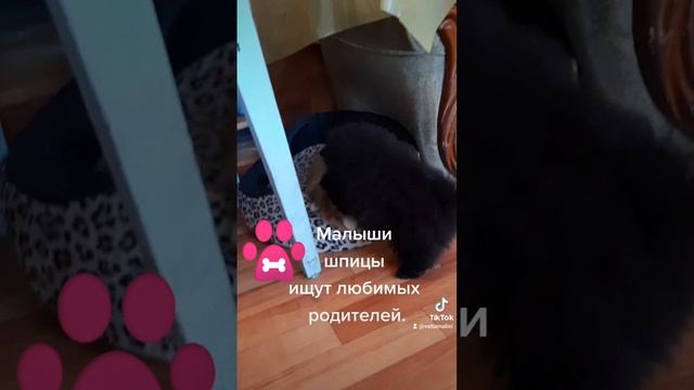 2021-10-05-102223334.mp4