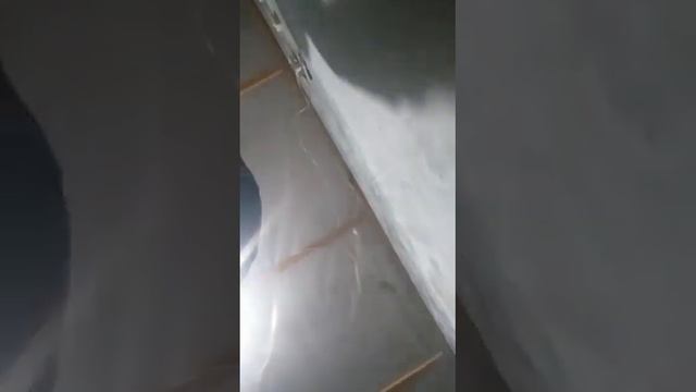 Молдолор Мечит Алланын уйу деп айтышат дагы анан оздору мечиттен кууп урушат!