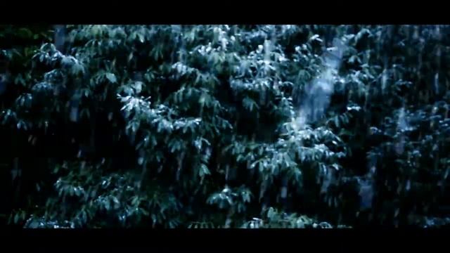 Samsung NX11 Test Coloring (Sony Vegas 11)