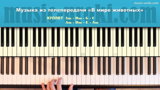 Музыка из телепередачи _В мире животных_. Как играть на пианино. (720p)