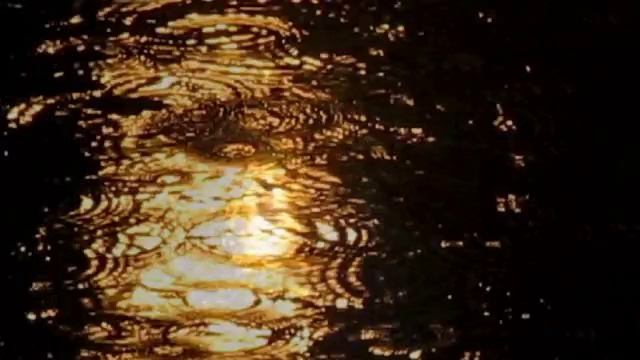 38 сек.mp4