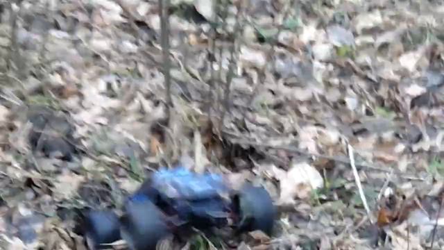 Покатушки 3  Грязь и глубокие лужи