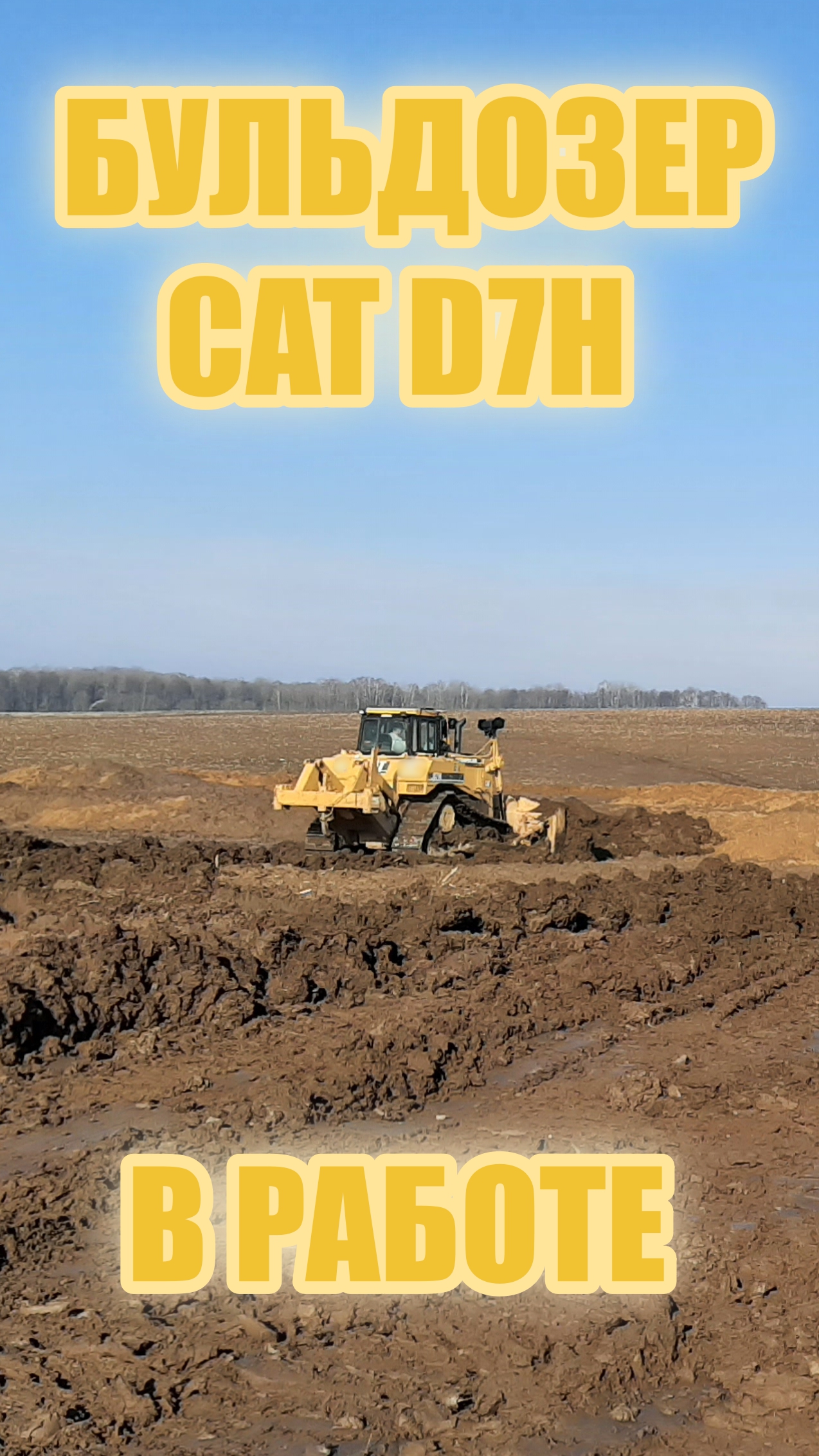 CAT D7H В РАБОТЕ! #bulldozer #caterpillar #тяжелаятехника #shorts #работа #строительство