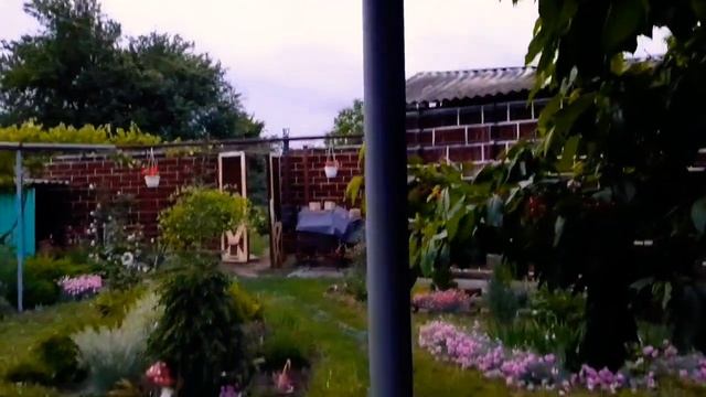СЮРПРИЗ. СУП З ФРИКАДЕЛЬКАМИ. ВЕЧІРНІЙ САД. ЖИТТЯ В УКРАЇНСЬКОМУ СЕЛІ.?