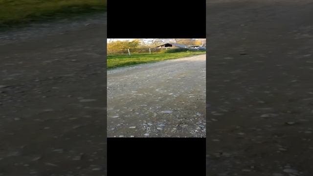 внучка