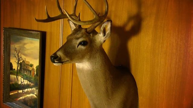 Local Television Ad Campaign for a Collision Center That Killed it #11 Buck Randy
