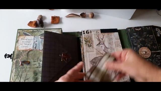 Forest nature handmade lapbook, junk journal, Stamperia