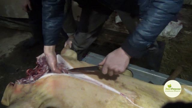 Разделка свиной туши