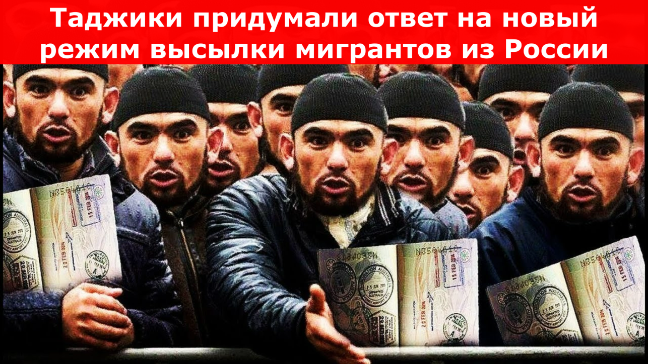 Таджики придумали ответ на новый режим высылки мигрантов из России