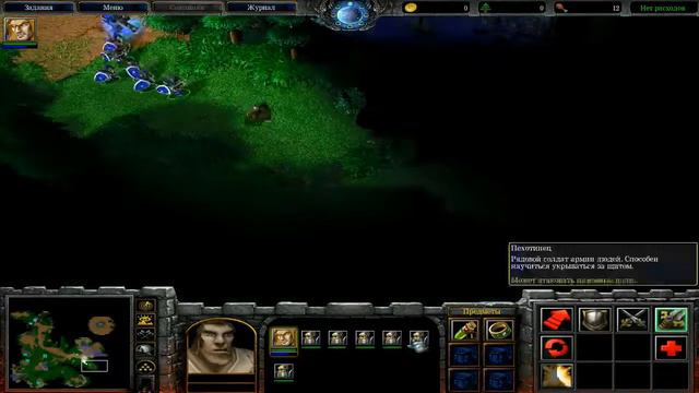 Warcraft III - Reign of Chaos : Падение Лордерона : Глава 1 : Оборона Странборда