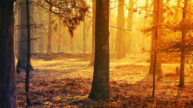 Epic music!!! Красивая Эпическая Музыка для души/Epic music for the soul