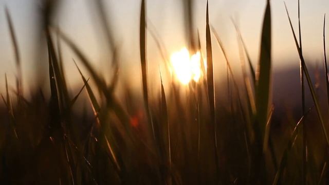 NSM - Calm Music For The Whole Day (Спокойная музыка на весь день)