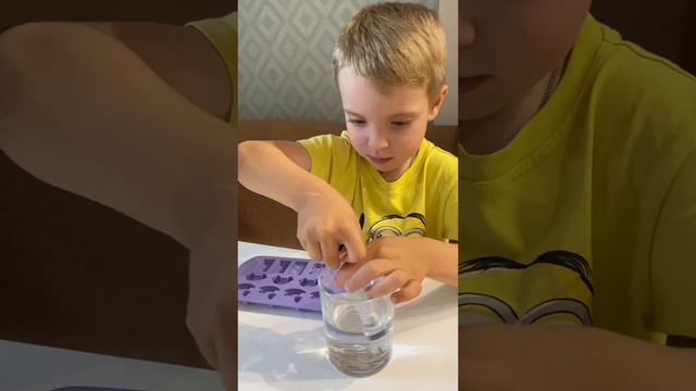 Замораживаем лед🧊для лимонада с Савелием 🥤🍋Смотрите вторую часть в акаунте БРАТЬЯ СОКОЛОВЫ