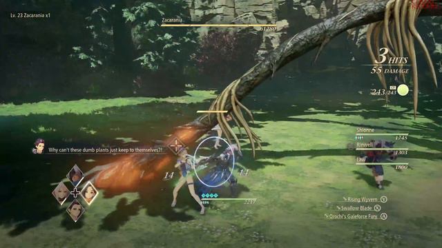 Tales of Arise Xbox Series X - Cats and Owls Gameplay