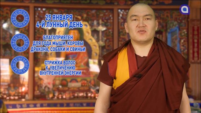 Мыши и драконы, всегда стремитесь к лучшей жизни