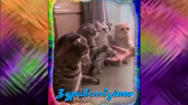 здрасти...здрасти