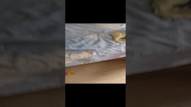 кот Шум часть два дрессировка