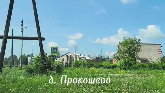 д. Прокошево Нижегородская область  поехали