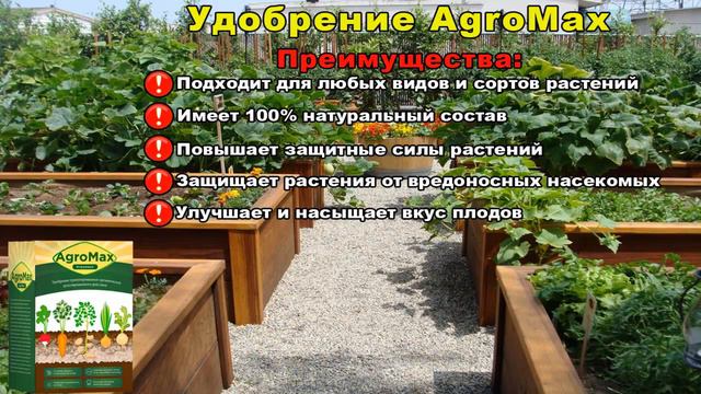 УДОБРЕНИЕ АГРОМАКС - КАК КУПИТЬ АГРОМАКС УДОБРЕНИЕ ОТЗЫВЫ